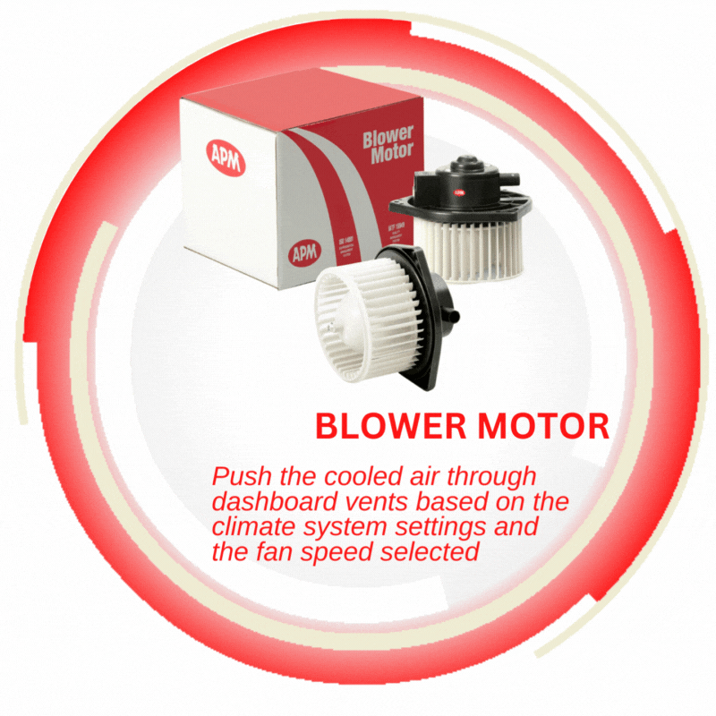 Blower Motor - APM MARKETING