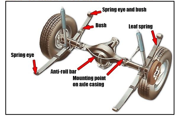 leaf spring anatomy